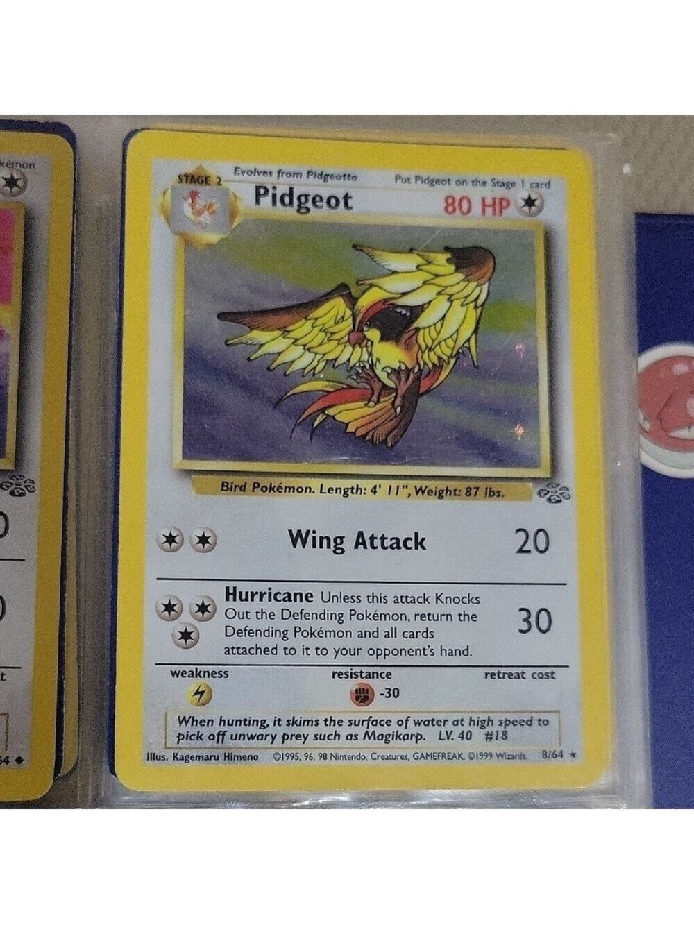Pokemon Card Pidgeot